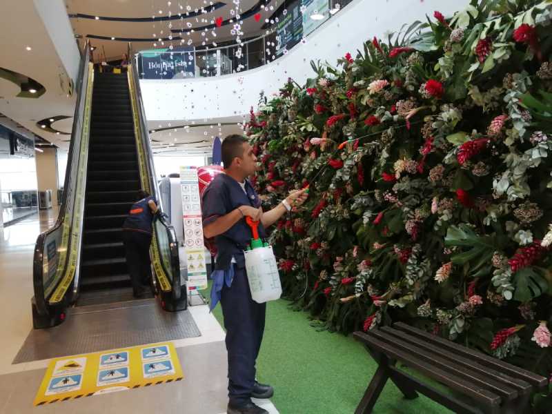 Servicio de Jardineria Profesioanl Induaseo
