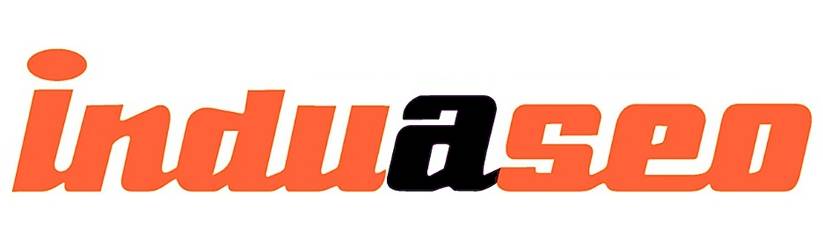 Logo Induaseo